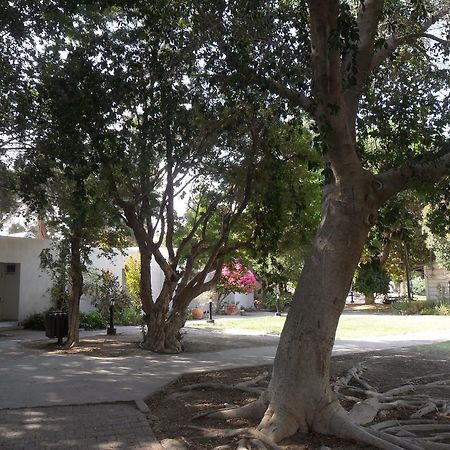 Almog Kibbutz Hotel Luaran gambar