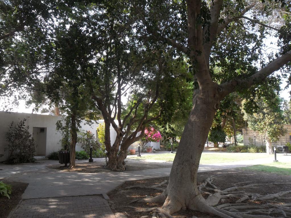 Almog Kibbutz Hotel Luaran gambar