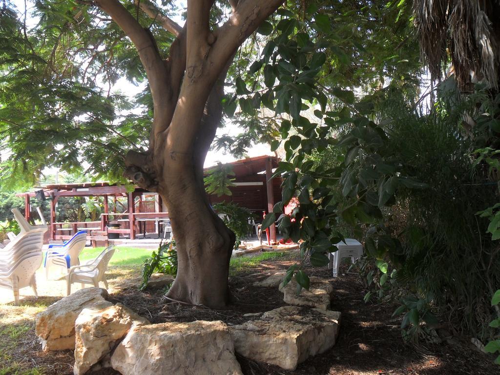 Almog Kibbutz Hotel Luaran gambar
